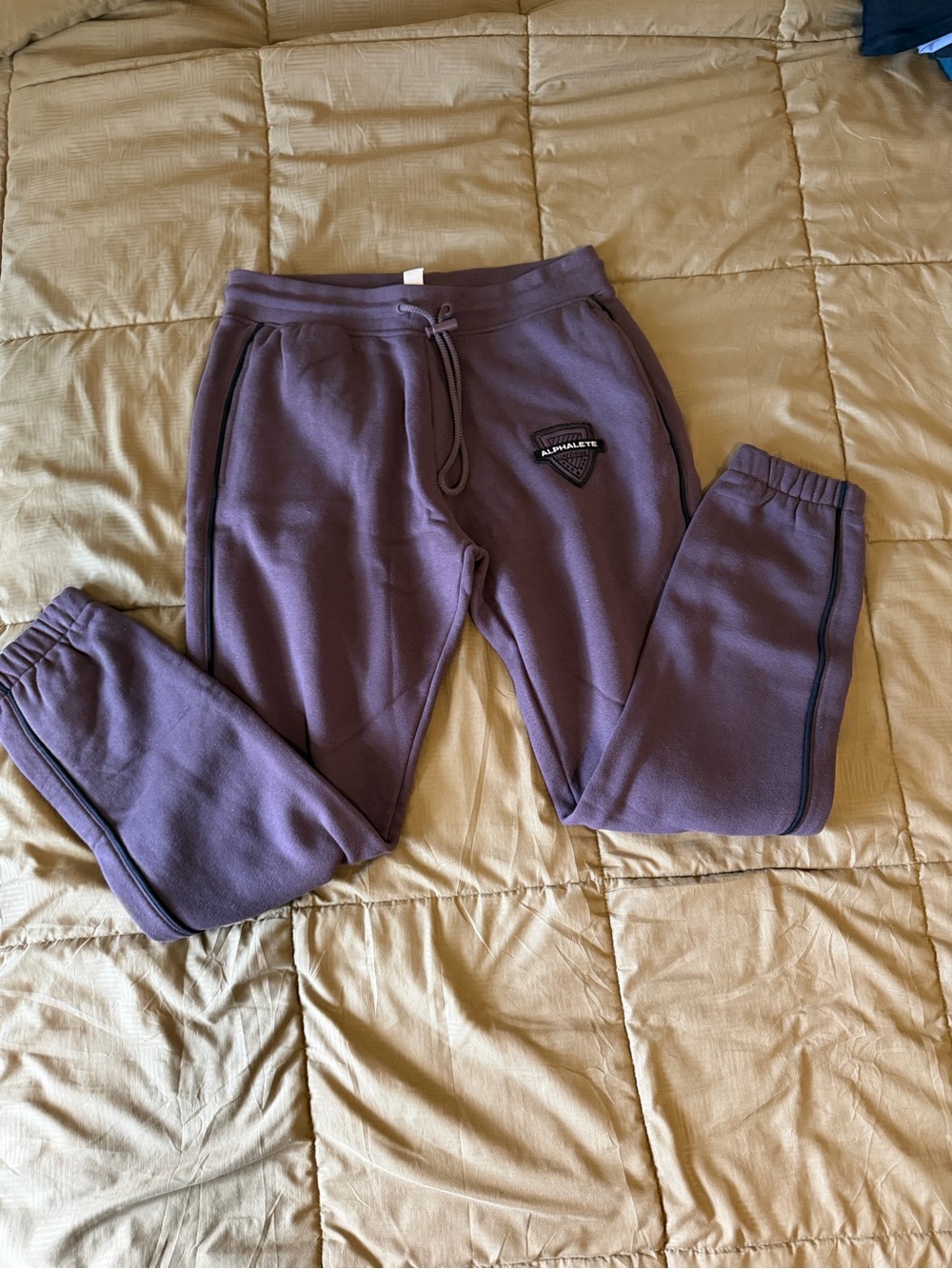 Alphalete Drawstring Sweatpants: Sparrow